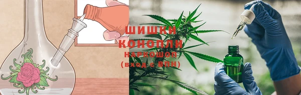 гидропоника Нея