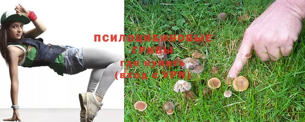 гидропоника Нея